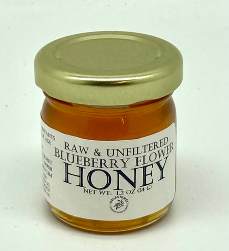 Delavignes Raw & Unfiltered Blueberry Honey - 1.2oz